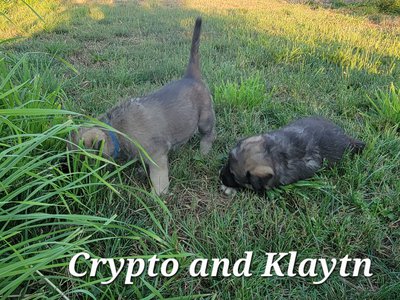 Crypto and Klaytn