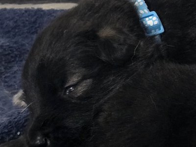 Beautiful Light Blue