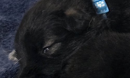 Beautiful Light Blue