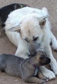 Elsie and her mom Stella