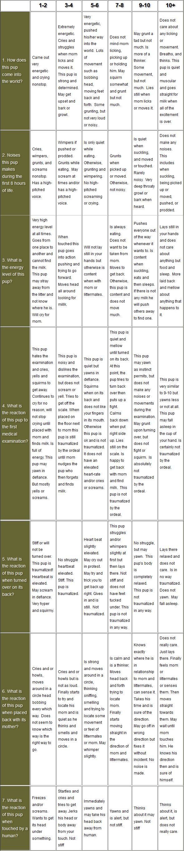 Temperment Test #1